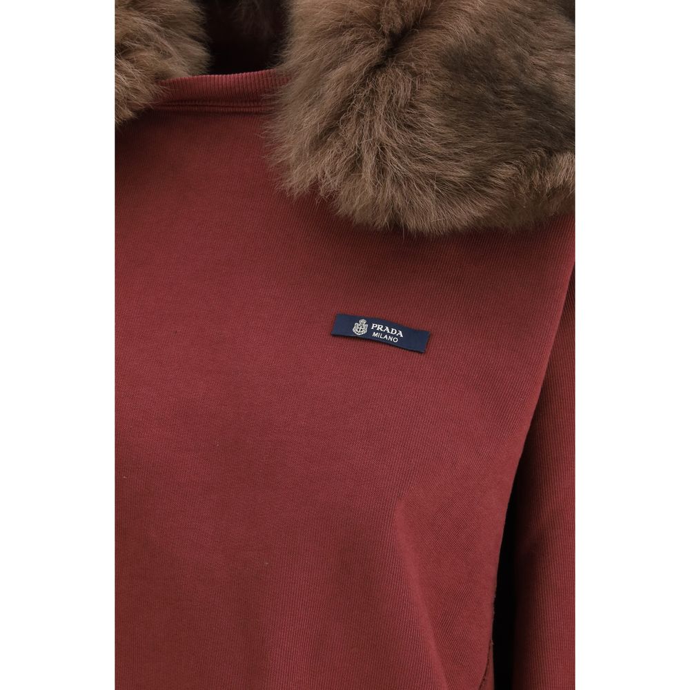 Sweatshirt mit Shearling-Kragen